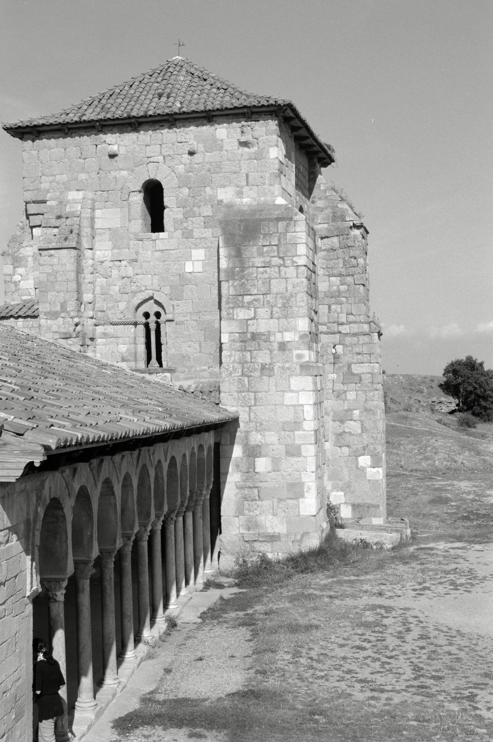 AHP F1995 05 010 sc240826 img06 NLP